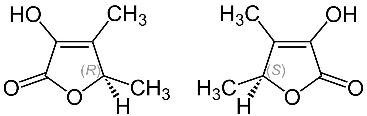Sotolon