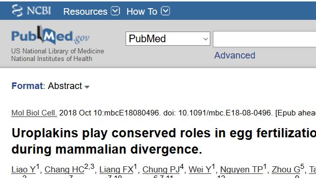 PubMed