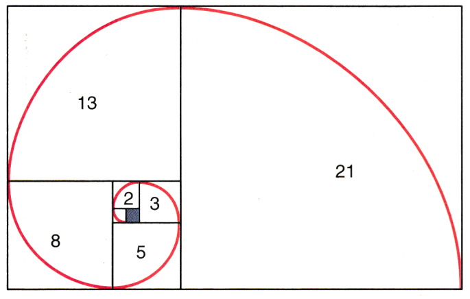 Fibronacci