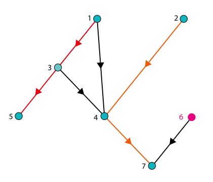 gerichter Graph