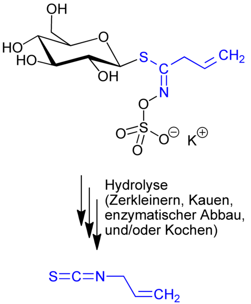Allylisothiocyanat