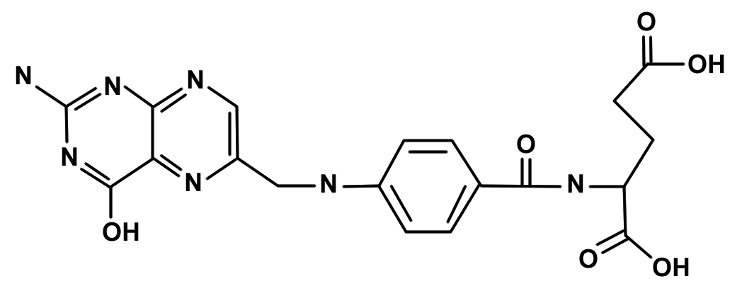 Chemotherapie von Tumoren