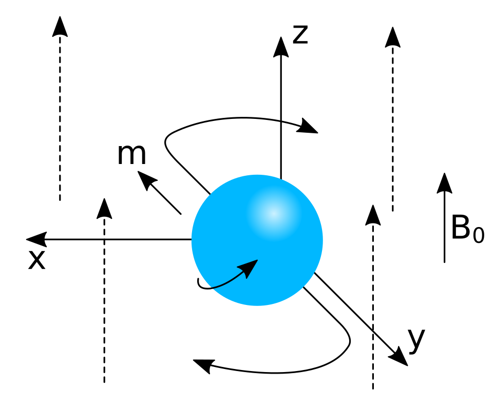 Kern-Präzession