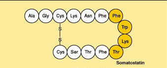 Somatostatin