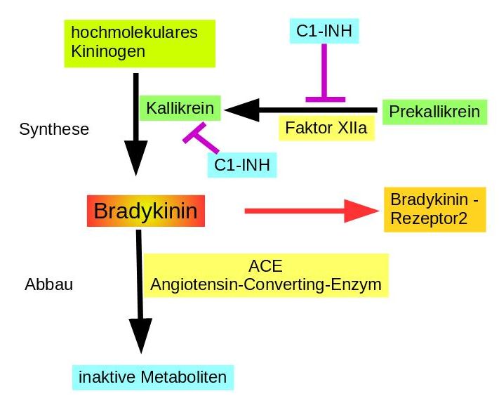 C1-Inhibitor