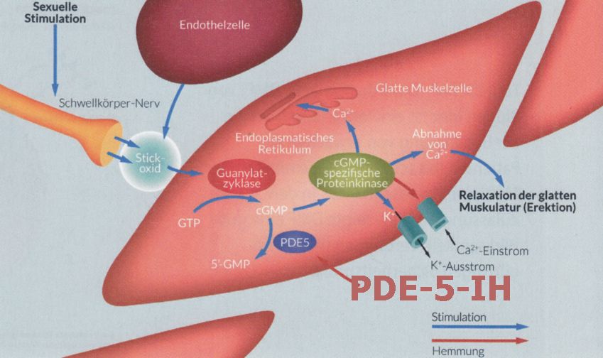 PDE-5-IH