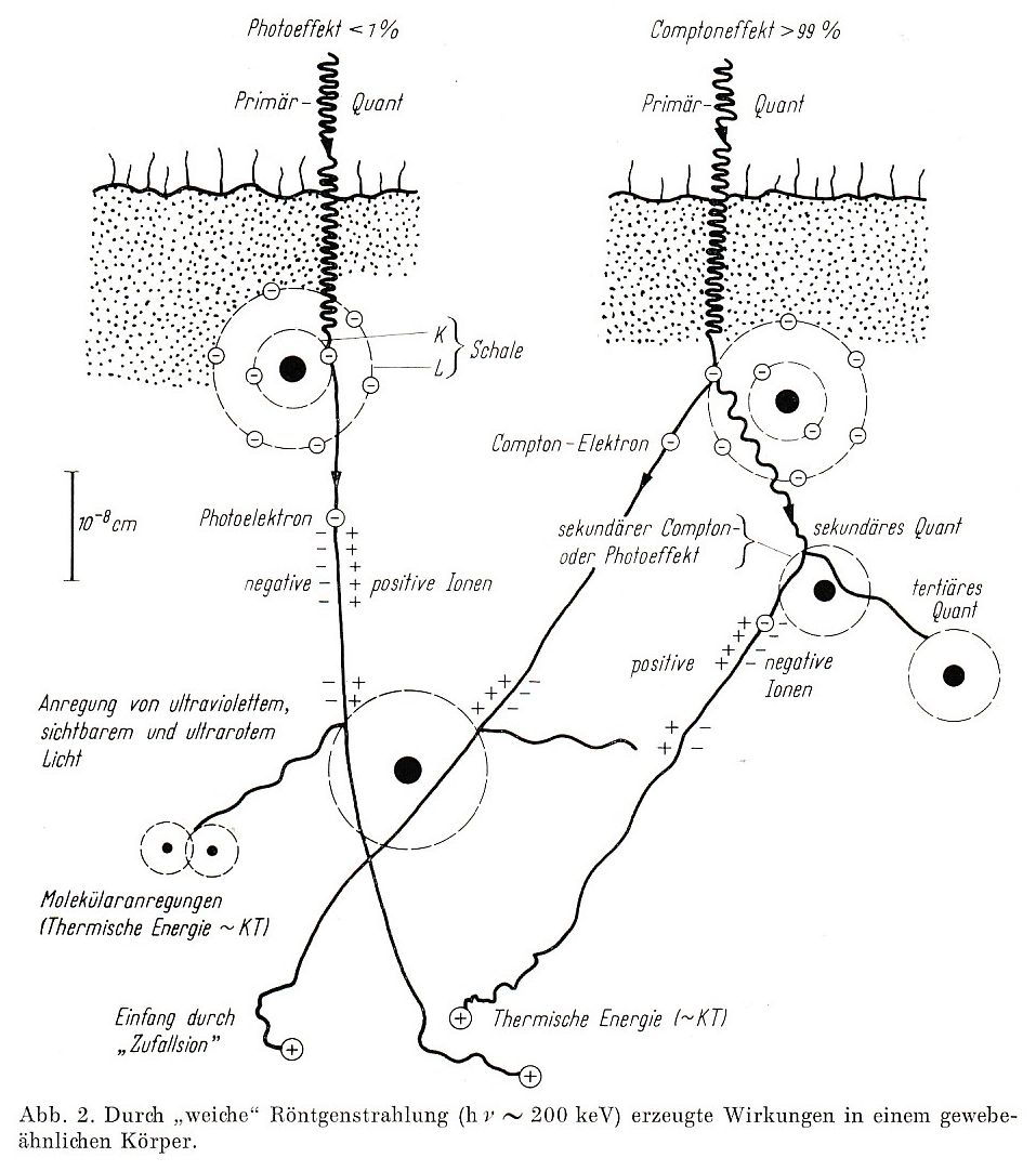 Mechanismen